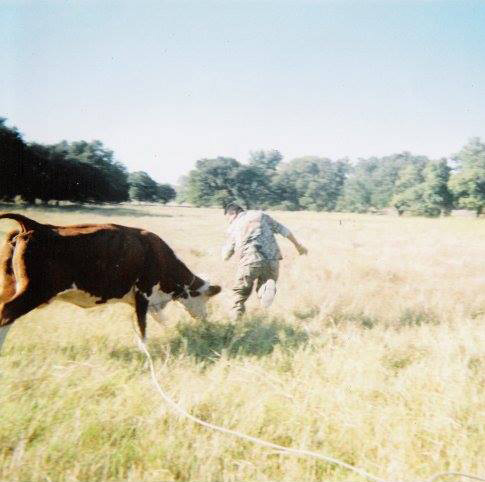 This would have been a picture of a cow chasing my dad